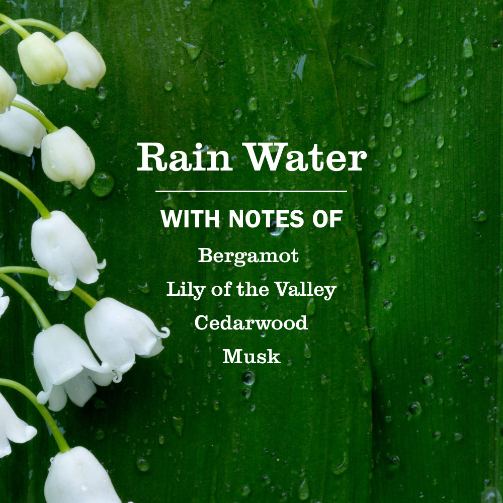 Rain Water Plug In Scented Oil Refill. 4-Pack - Image 5