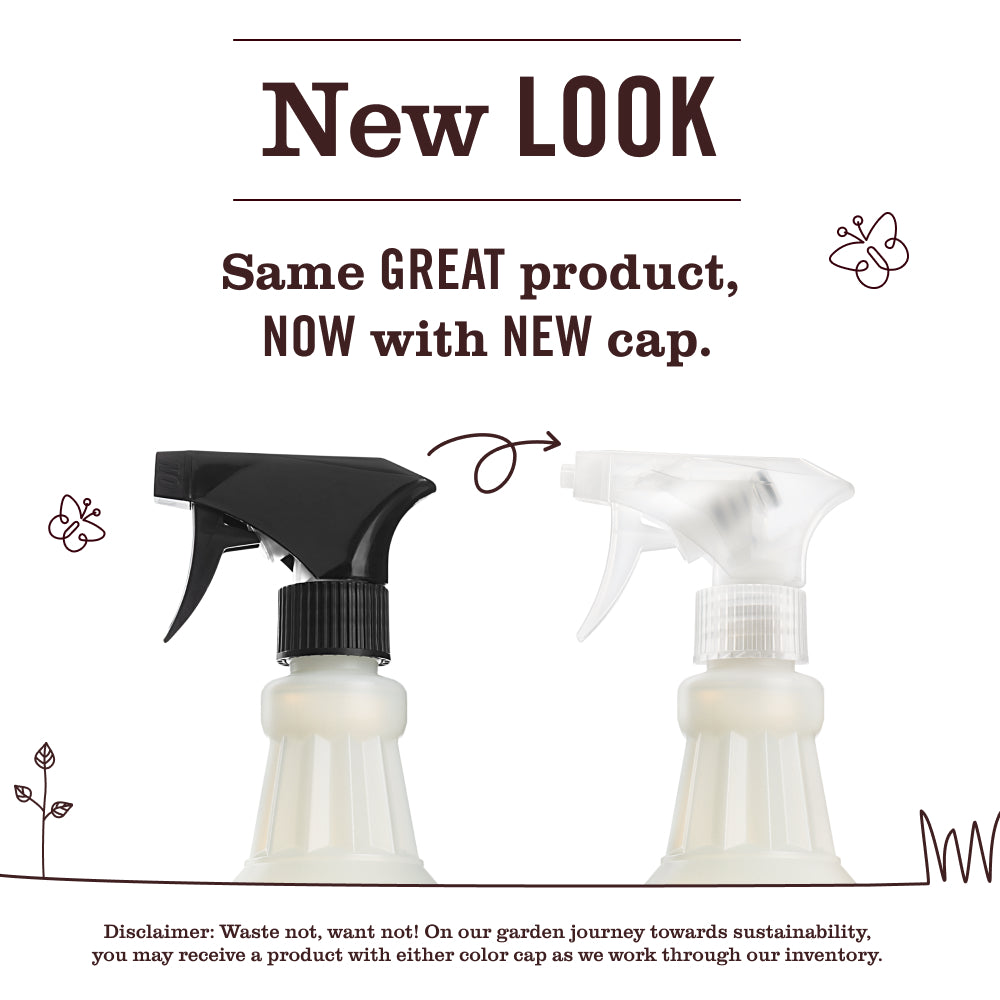 Pear Tree Multi-Surface Everyday Cleaner - Image 3