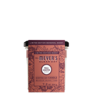 Fall Leaves Scented Soy Candle