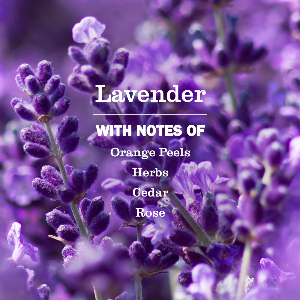 Lavender Dish Soap - Image 4